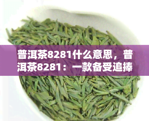 普洱茶8281什么意思，普洱茶8281：一款备受追捧的茶叶，你了解它的含义吗？