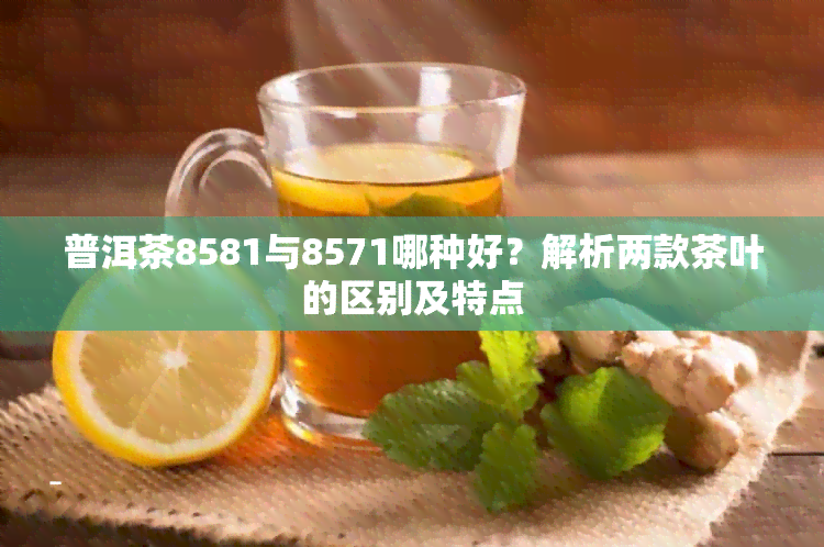 普洱茶8581与8571哪种好？解析两款茶叶的区别及特点