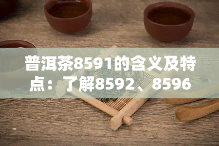 普洱茶8591的含义及特点：了解8592、8596、8853与8581的区别