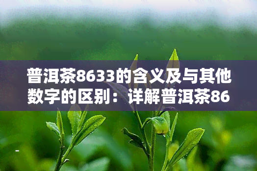 普洱茶8633的含义及与其他数字的区别：详解普洱茶8613、8653、8603的意思