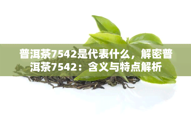 普洱茶7542是代表什么，解密普洱茶7542：含义与特点解析