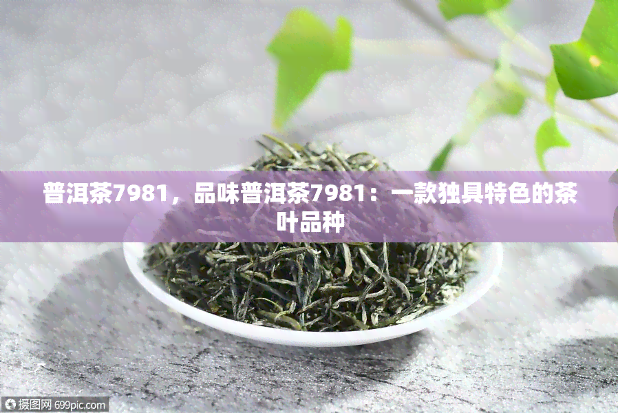 普洱茶7981，品味普洱茶7981：一款独具特色的茶叶品种