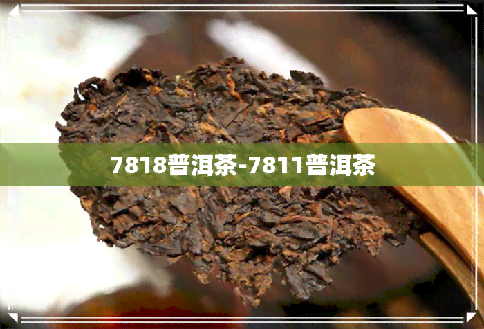 7818普洱茶-7811普洱茶