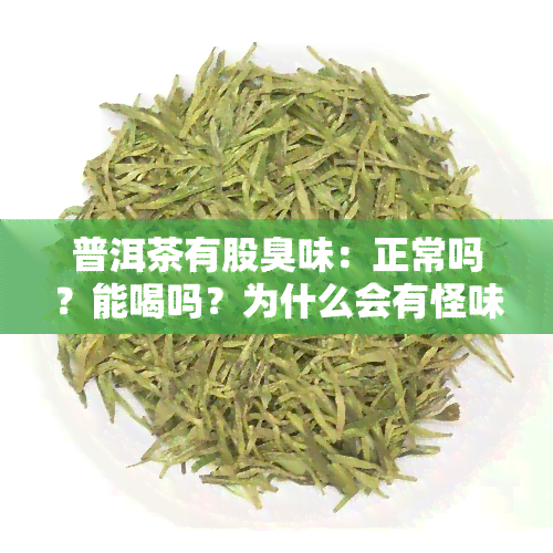 普洱茶有股臭味：正常吗？能喝吗？为什么会有怪味？