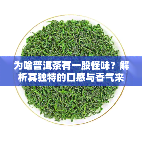 为啥普洱茶有一股怪味？解析其独特的口感与香气来源