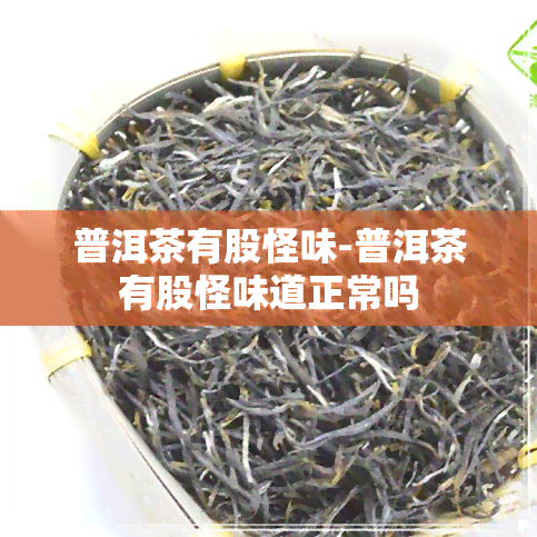 普洱茶有股怪味-普洱茶有股怪味道正常吗