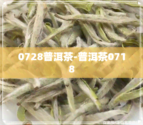 0728普洱茶-普洱茶0718