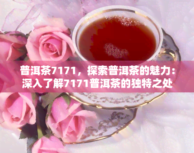 普洱茶7171，探索普洱茶的魅力：深入了解7171普洱茶的独特之处