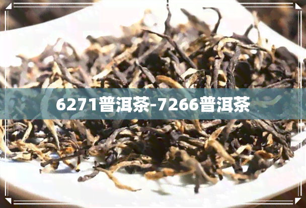 6271普洱茶-7266普洱茶