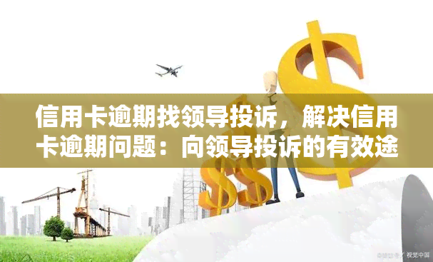 信用卡逾期找领导投诉，解决信用卡逾期问题：向领导投诉的有效途径