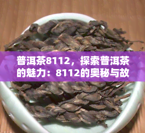 普洱茶8112，探索普洱茶的魅力：8112的奥秘与故事