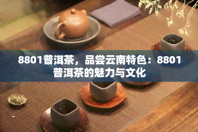 8801普洱茶，品尝云南特色：8801普洱茶的魅力与文化