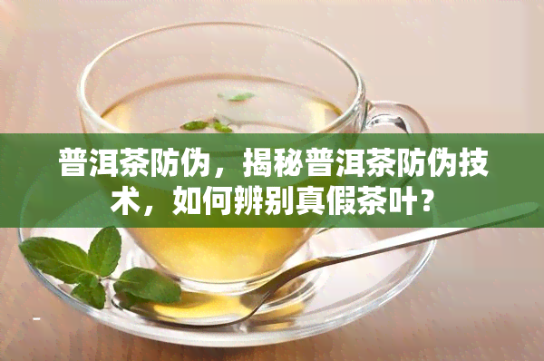 普洱茶防伪，揭秘普洱茶防伪技术，如何辨别真假茶叶？