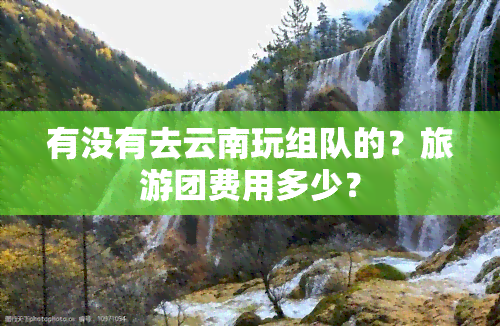 有没有去云南玩组队的？旅游团费用多少？