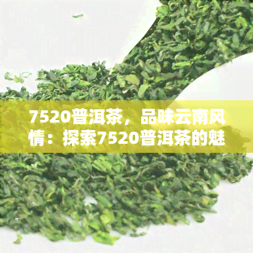 7520普洱茶，品味云南风情：探索7520普洱茶的魅力