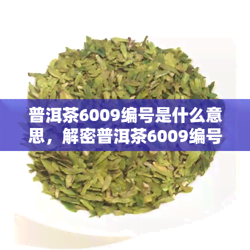 普洱茶6009编号是什么意思，解密普洱茶6009编号：含义及作用解析