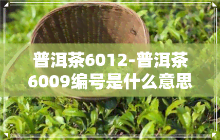 普洱茶6012-普洱茶6009编号是什么意思