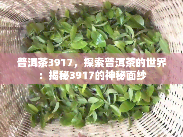 普洱茶3917，探索普洱茶的世界：揭秘3917的神秘面纱