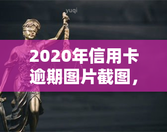 2020年信用卡逾期图片截图，警示：曝光2020年信用卡逾期的惨痛教训，切勿重蹈覆辙！