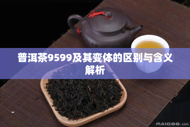 普洱茶9599及其变体的区别与含义解析