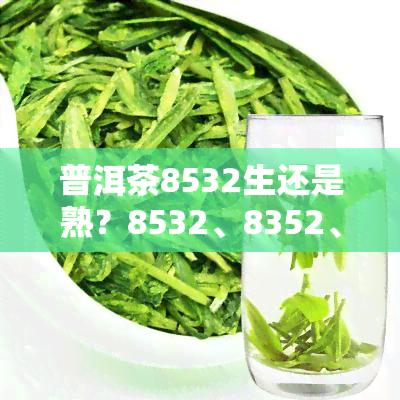 普洱茶8532生还是熟？8532、8352、8853、8853和8582的区别与含义解析