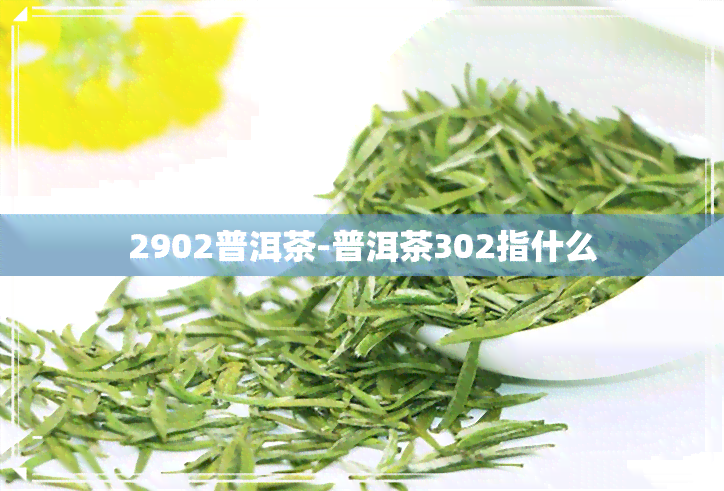 2902普洱茶-普洱茶302指什么