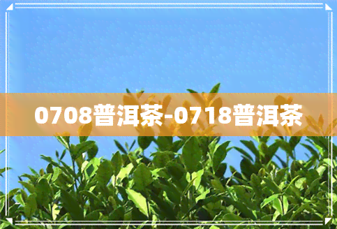 0708普洱茶-0718普洱茶