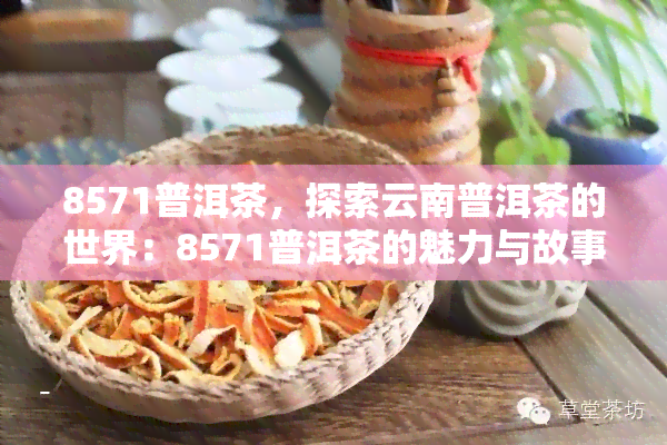 8571普洱茶，探索云南普洱茶的世界：8571普洱茶的魅力与故事