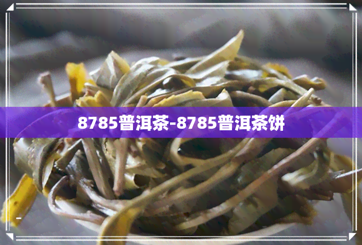 8785普洱茶-8785普洱茶饼