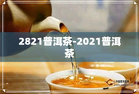 2821普洱茶-2021普洱茶