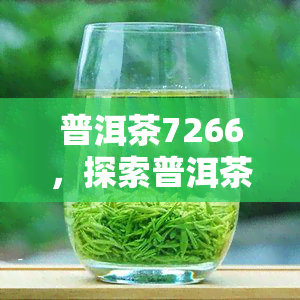 普洱茶7266，探索普洱茶的奥秘：7266号的独特韵味与历背景