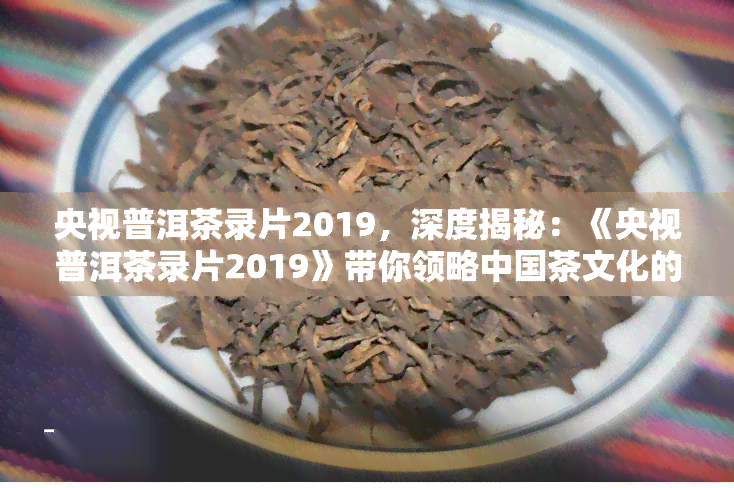 央视普洱茶录片2019，深度揭秘：《央视普洱茶录片2019》带你领略中国茶文化的魅力