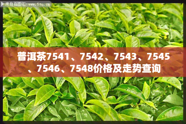 普洱茶7541、7542、7543、7545、7546、7548价格及走势查询