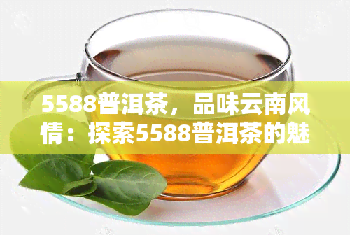 5588普洱茶，品味云南风情：探索5588普洱茶的魅力