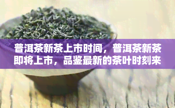 普洱茶新茶上市时间，普洱茶新茶即将上市，品鉴最新的茶叶时刻来临！