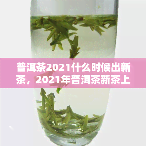 普洱茶2021什么时候出新茶，2021年普洱茶新茶上市时间预测