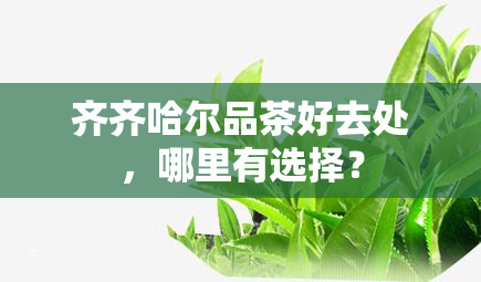 齐齐哈尔品茶好去处，哪里有选择？