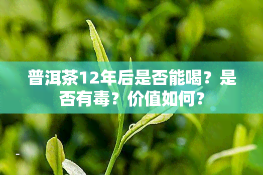 普洱茶12年后是否能喝？是否有？价值如何？