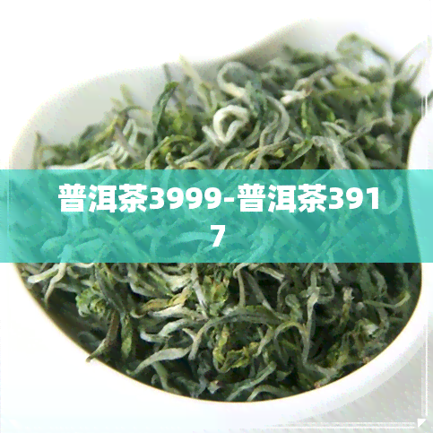 普洱茶3999-普洱茶3917