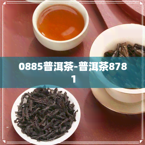 0885普洱茶-普洱茶8781