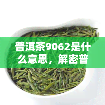 普洱茶9062是什么意思，解密普洱茶术语：9062意味着什么？