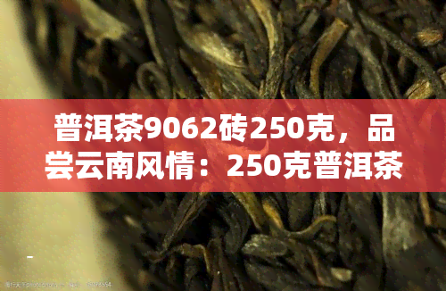 普洱茶9062砖250克，品尝云南风情：250克普洱茶9062砖