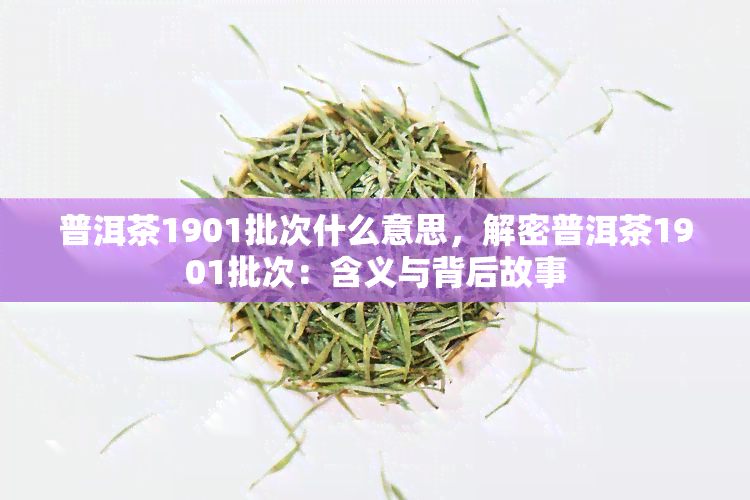 普洱茶1901批次什么意思，解密普洱茶1901批次：含义与背后故事