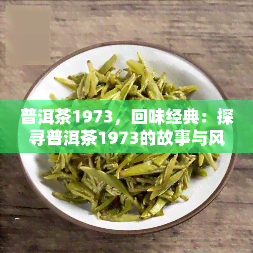 普洱茶1973，回味经典：探寻普洱茶1973的故事与风味