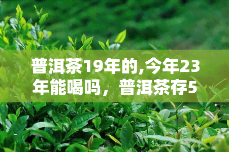 普洱茶19年的,今年23年能喝吗，普洱茶存5年后，今年23年是否还能饮用？