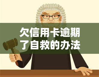 欠信用卡逾期了自救的办法，信用卡逾期怎么办？自救指南在这里！