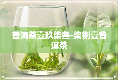 普洱茶壹玖柒叁-柒捌壹普洱茶