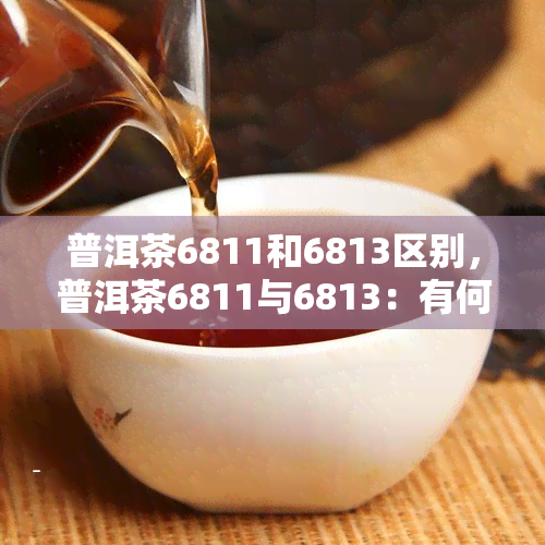 普洱茶6811和6813区别，普洱茶6811与6813：有何不同之处？