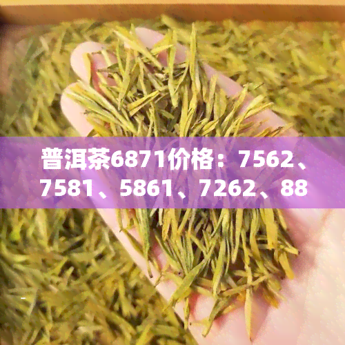 普洱茶6871价格：7562、7581、5861、7262、8861全面解析