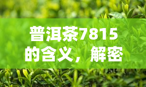 普洱茶7815的含义，解密普洱茶7815：含义、特点与品尝技巧